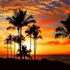 Meet your Posher, Denia